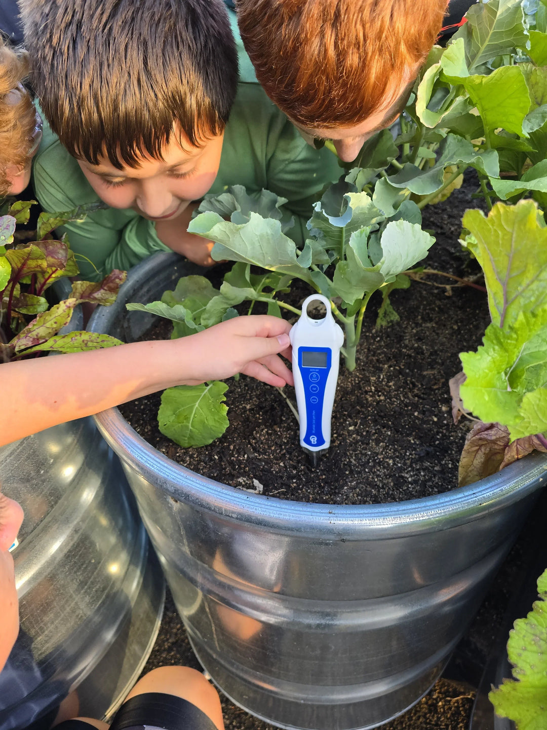 STEM Learning Transformed: Growing Future Scientists with AgTech