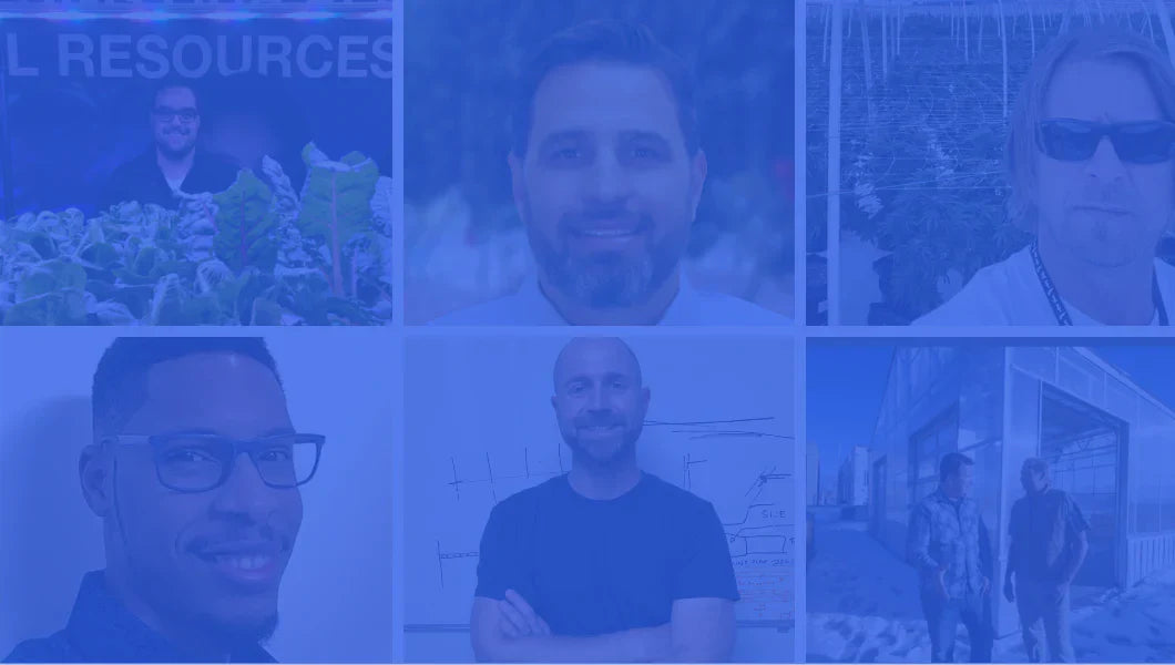 How to be successful in CEA: 6 experts share their best advice