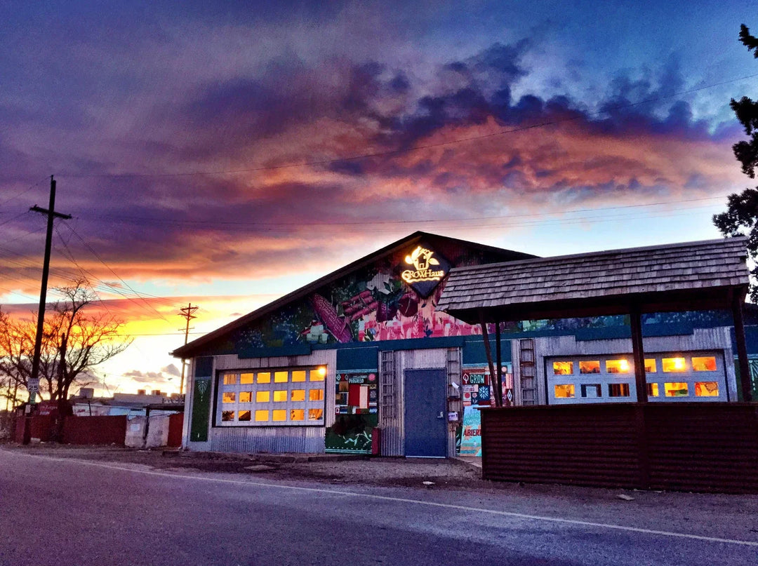 The GrowHaus - Guardian Monitor case study