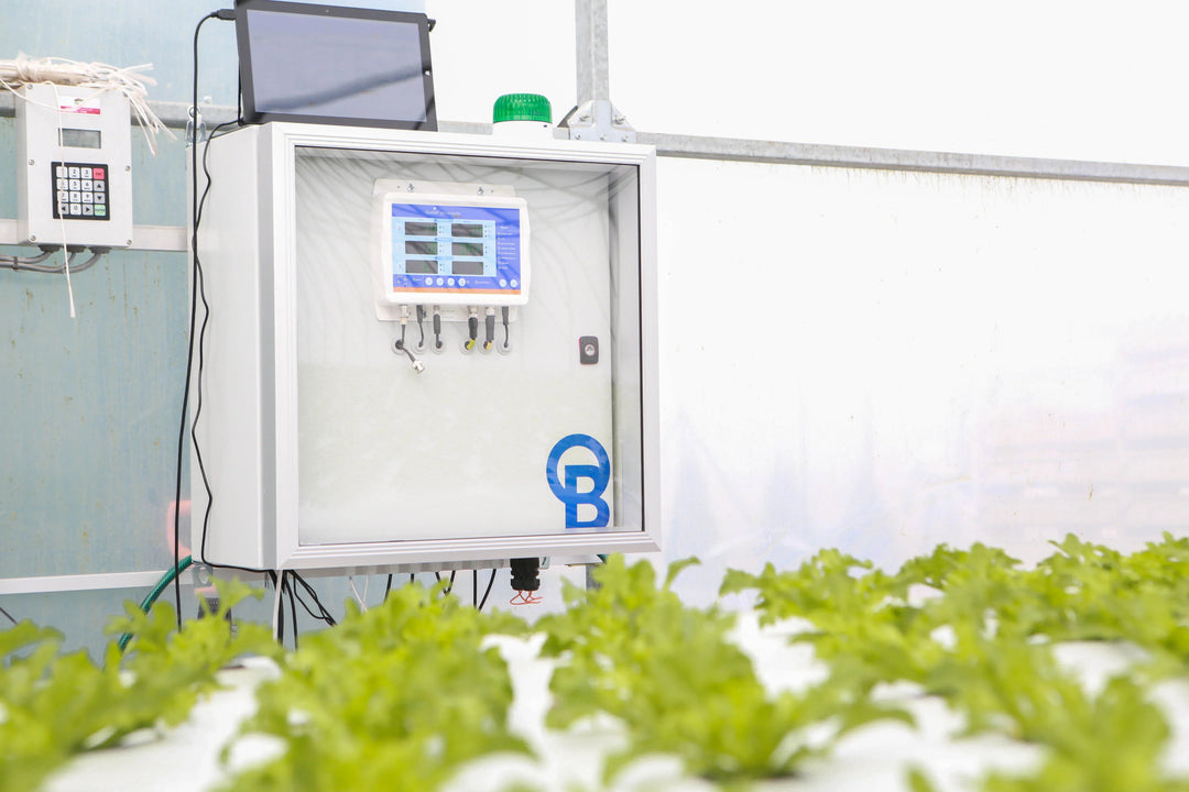 Healthy, profitable crops for customers from day 1 with Bluelab Pro Controller