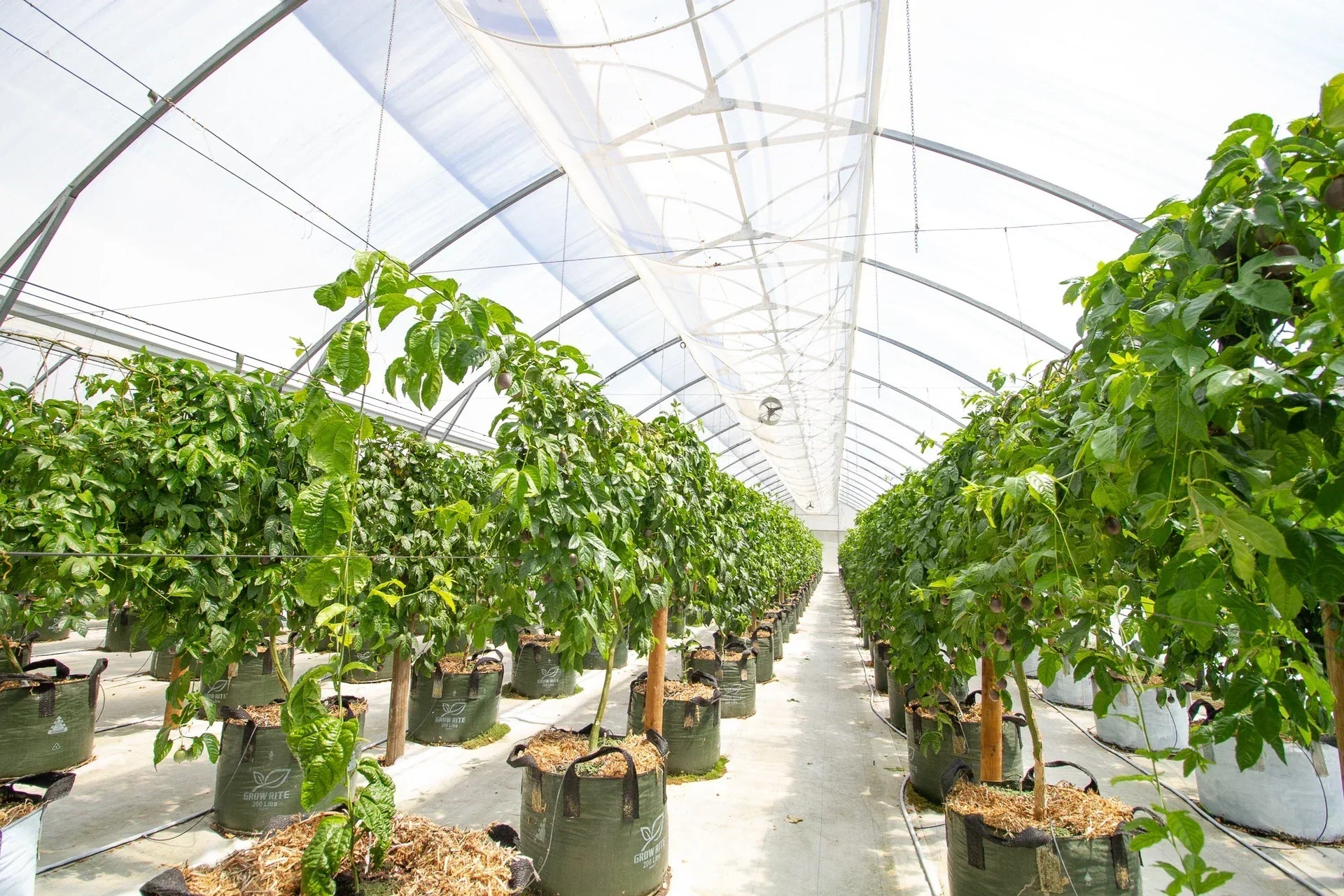 Scott's Place (part of the Passionfruit Place co-operative) - Pro Controller case study