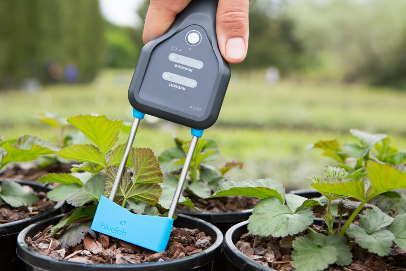 Bluelab Europe | Trusted Hydroponic Supplies & pH Meters – Bluelab EU