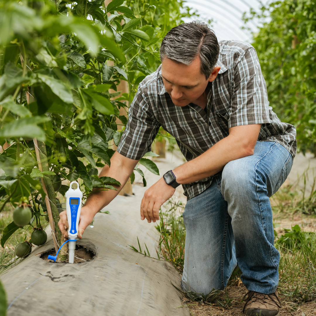 Bluelab Soil pH Pen