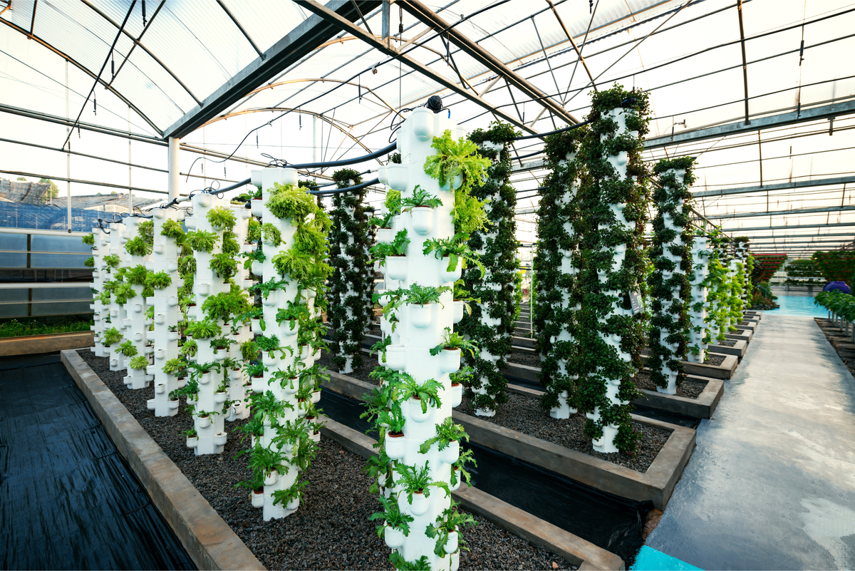 A Q&A with WWF on how it plans to tackle the sustainability of CEA and food security