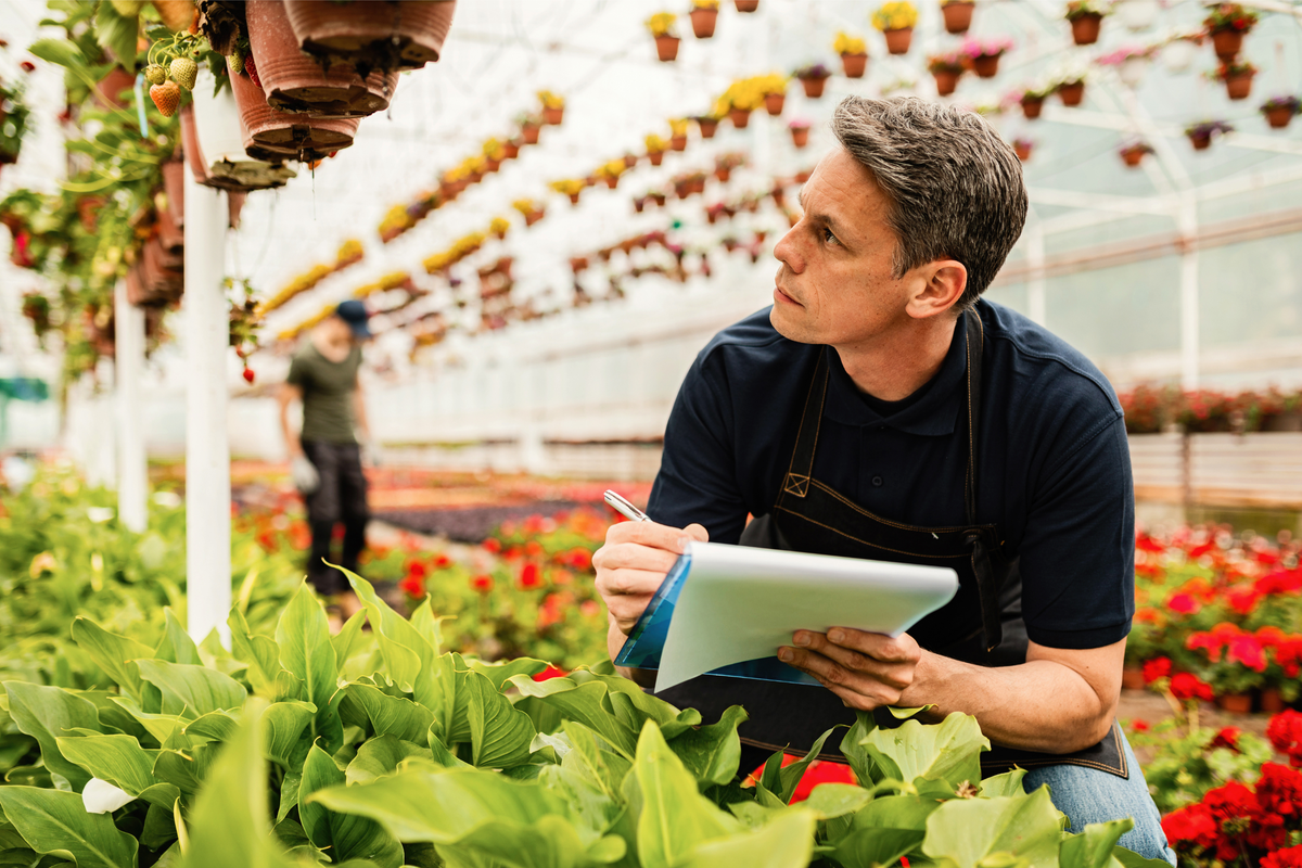 What you should do before treating a nutrient deficiency