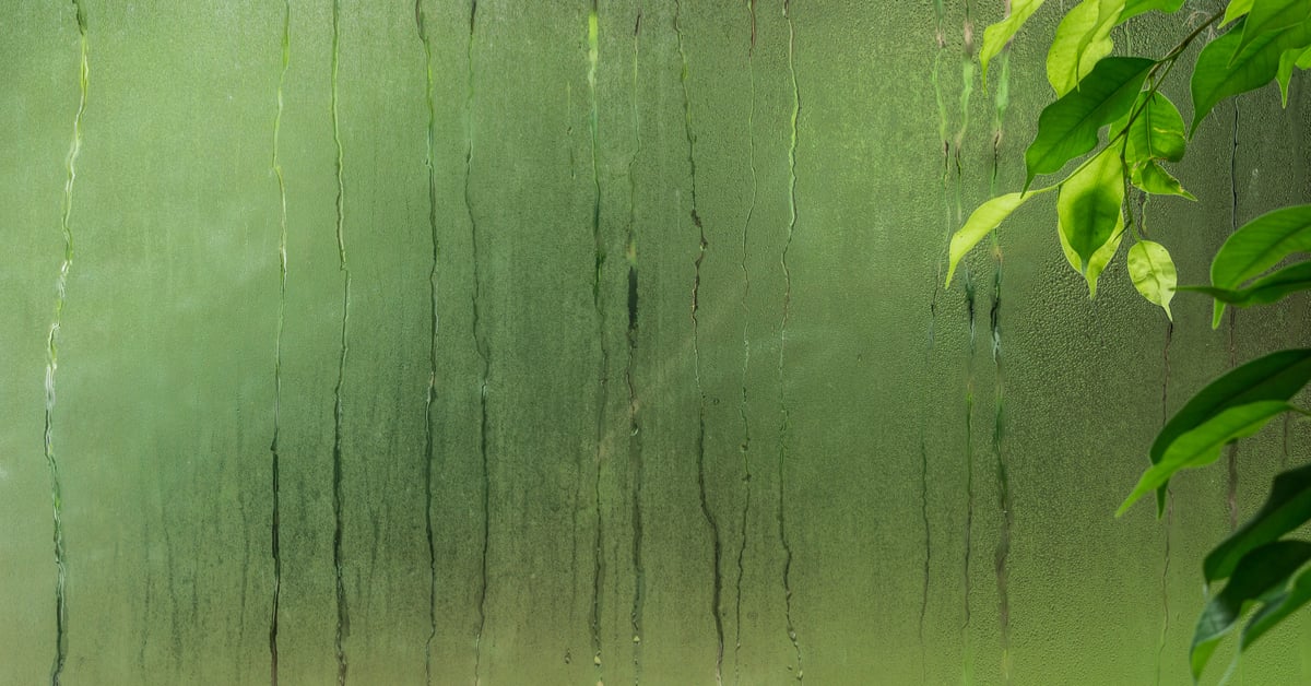 A Beginner’s Guide to Greenhouse Fogging